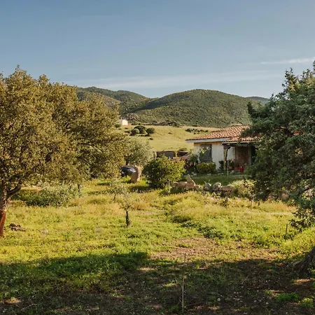 Casa Lidia- Pool, Garden, Parking Daire *