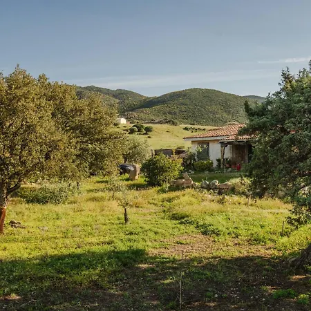 Daire Casa Lidia- Pool, Garden, Parking
