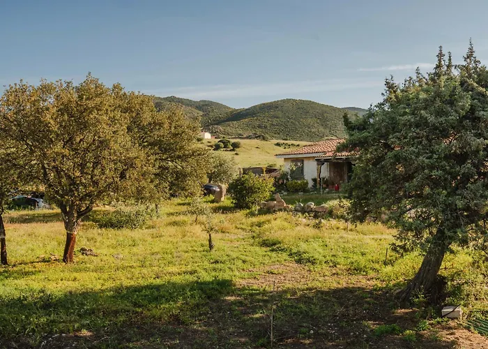 Casa Lidia- Pool, Garden, Parking Apartment *